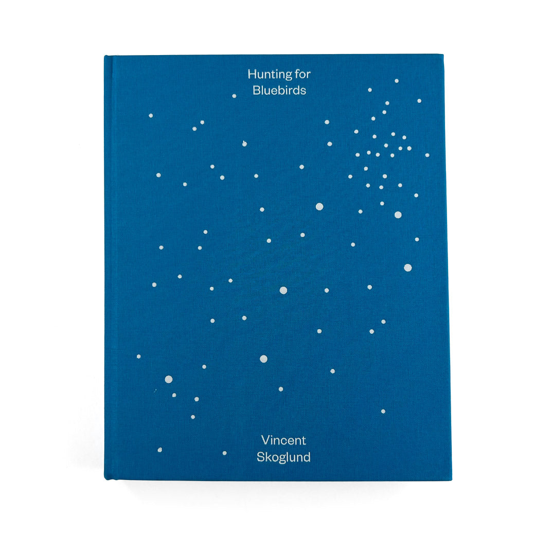 Hunting for Bluebirds Book by Vincent Skoglund